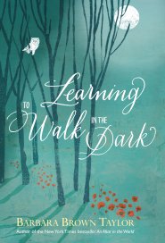 Learning to Walk in the Dark