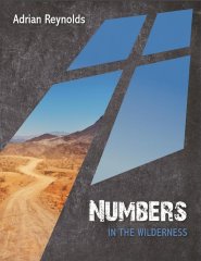 Numbers: In the Wilderness