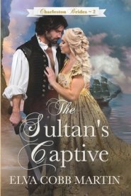 Sultan's Captive