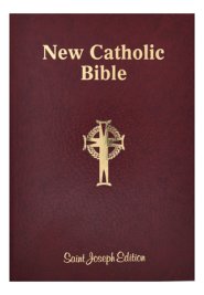 St. Joseph New Catholic Bible