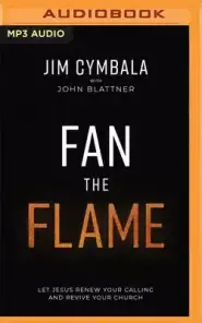 Fan the Flame: Let Jesus Renew Your Calling and Revive Your Church