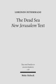 The Dead Sea 'New Jerusalem' Text: Contents and Contexts