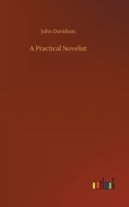 Practical Novelist