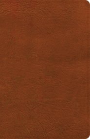 CSB Large Print Personal Size Reference Bible, Digital Study Edition, Burnt Sienna LeatherTouch