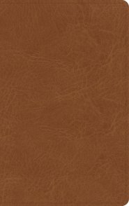 NASB Single-Column Personal Size Bible, Tan Genuine Leather