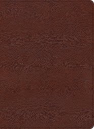 KJV Study Bible, Large Print Edition, Brown Bonded Leather