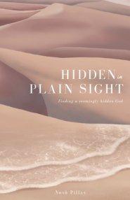 Hidden in Plain Sight: Finding a Seemingly Hidden God