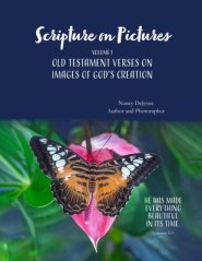 Scripture on Pictures Vol 1 Old Testament Verses on Images of God's Creation