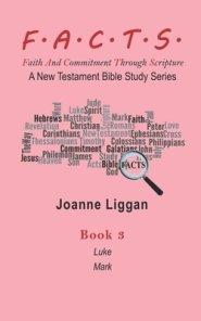 F.A.C.T.S. Bible Study Guide Book 3: A New Testament Bible Study Series