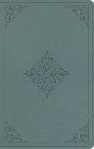 ESV Value Thinline Bible (TruTone, Paris Sky, Fleur-de-lis Design)