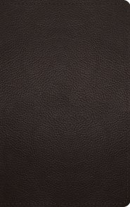 ESV Thinline Bible, Red Letter (Buffalo Leather, Deep Brown)