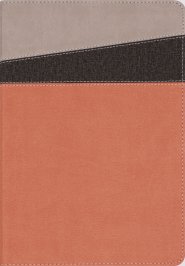 NIV Application Bible, Leathersoft, Coral/Gray, Red Letter, Thumb Indexed, Comfort Print