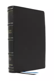 Nkjv, Large Print Thinline Reference Bible, Blue Letter, Maclaren 