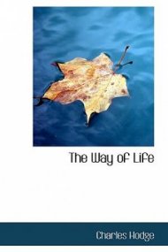 The way of life free edition прохождение