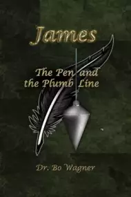 The Plumb Line (Paperback)