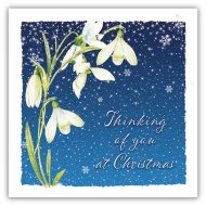 Christmas - Thinking of you| Free Delivery when you spend £10 at Eden.co.uk