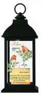 Robins Near You LED Lantern Candle