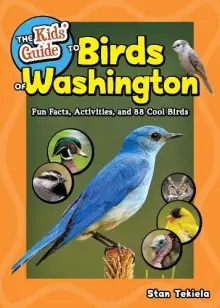 Kids' Guide To Birds Of Washington