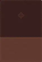 Amplified Study Bible, Imitation Leather, Brown