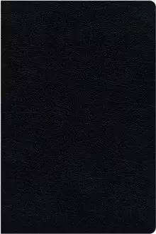 KJV, Amplified, Parallel Bible - Large Print, Bonded Leather, Black, Red Letter Edition