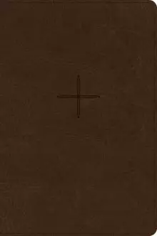 CSB Every Day with Jesus Daily Bible, Brown, Imitation Leather, Devotions, Journalling, Maps