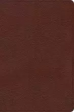 CSB Oswald Chambers Bible, Brown Bonded Leather