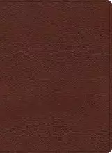 KJV Study Bible, Large Print Edition, Brown Bonded Leather