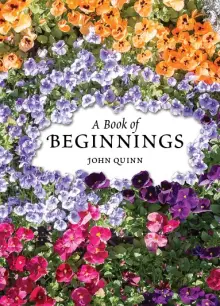 Book Of Beginnings