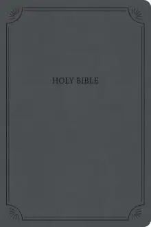 NASB Large Print Thinline Bible, Value Edition, Charcoal