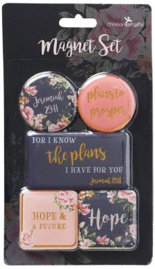 I Know The Plans Magnet Set