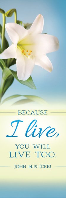 Bookmark (Pack Of 25) -Because I Live/Easter Lilys (John 14:19)