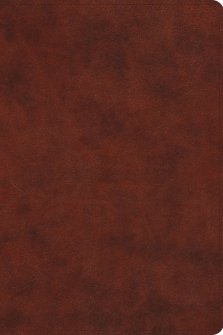 ESV Gospel Transformation Study Bible, TruTone, Chestnut Brown