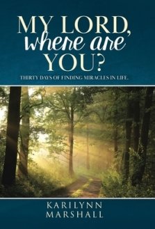 My Lord, Where are You?: Thirty Days of Finding Miracles in Life