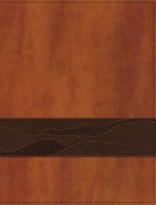 Rooted: The NIV Bible for Men, Leathersoft, Brown, Thumb Indexed, Comfort Print