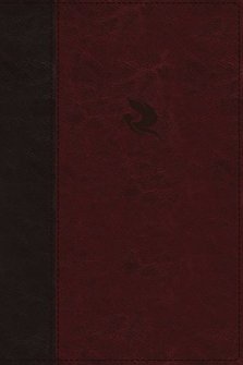 NKJV, Spirit-Filled Life Bible, Third Edition, Leathersoft, Burgundy, Thumb Indexed, Red Letter, Comfort Print