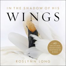 In the Shadow of His Wings