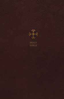 NRSV, Catholic Journal Bible, Leathersoft, Brown, Comfort Print