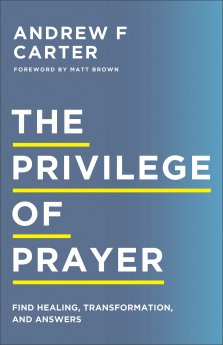 The Privilege of Prayer: Find Healing, Transformation, and Answers