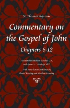 Commentary on the Gospel of John