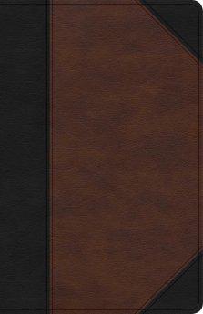 KJV Large Print Personal Size Reference Bible, Brown/Black Leathertouch Indexed