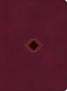 CSB Day-by-Day Chronological Bible, Burgundy LeatherTouch