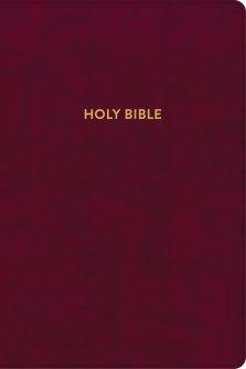 KJV Rainbow Study Bible, Burgundy LeatherTouch, Indexed