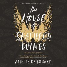 House of Shattered Wings