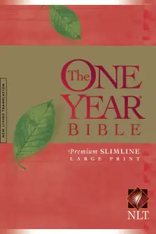 NLT One Year Large Print Bible: Paperback