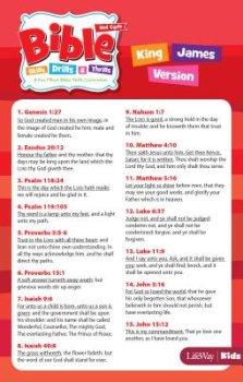 Bible Skills, Drills, & Thrills: Red Cycle - KJV Verse Cards