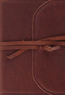 ESV Large Print Compact Bible