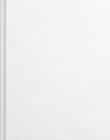 ESV Single Column Journaling Bible