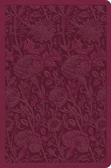 ESV Value Compact Bible (TruTone, Raspberry, Floral Design)