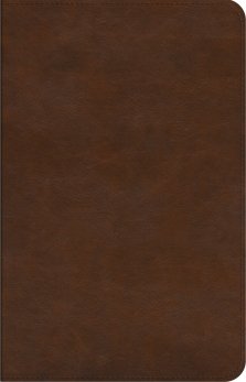 ESV Concise Study Bible, Brown, Imitation Leather, Glossary, Study Notes, Maps, Charts, Illustrations, Articles, Book Introductions