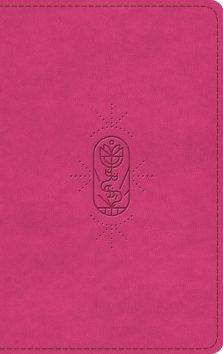 ESV Kid's Bible, Thinline, Red Letter (TruTone, Berry, The True Vine Design)